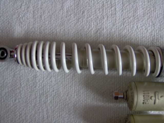 amortospaiolif1assistance2.jpg