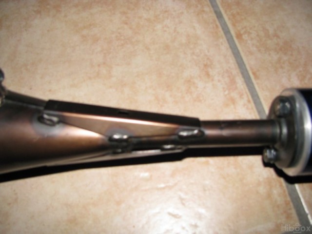 bidalotrre3.jpg