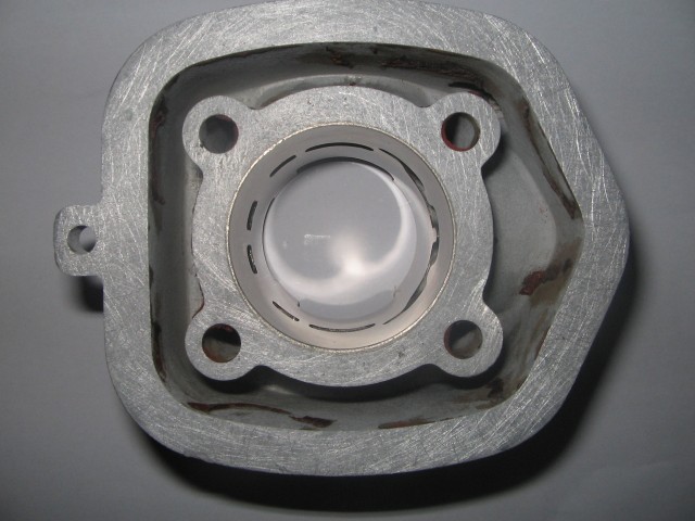 cylindrepolini46w.jpg