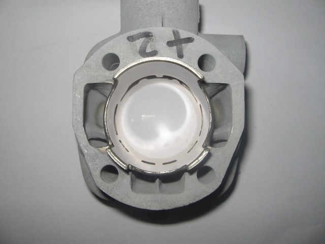 cylindrepolini46w2.jpg