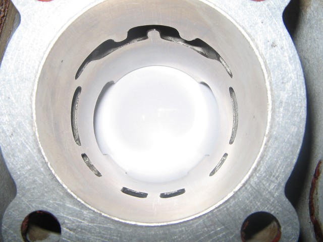 cylindrepolini46w3.jpg