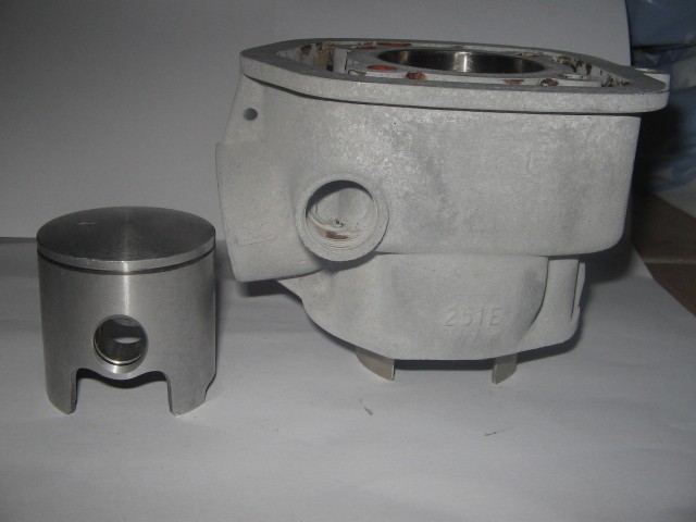 cylindrepolini46w4.jpg