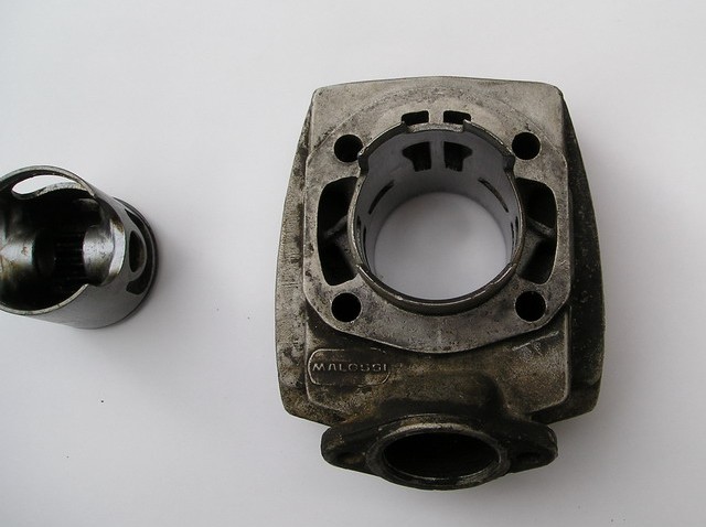 malossicvf455.jpg