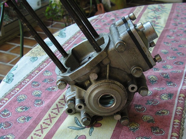 Carters Polini
