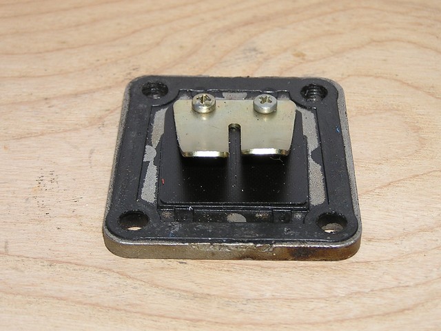 Clapet Adige Racing (Modèle adhérisé)

