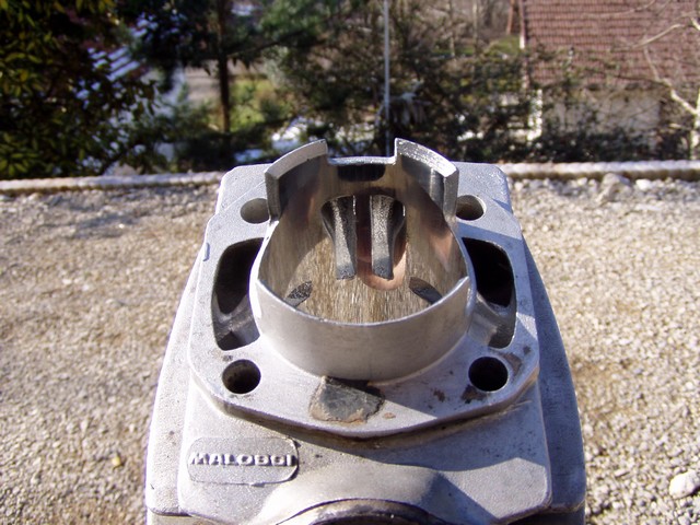 Cylindre Malossi 45,5mm CVF
