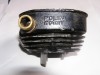 cylindrepolini46mih2o.jpg