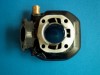 cylindrepolini50.jpg