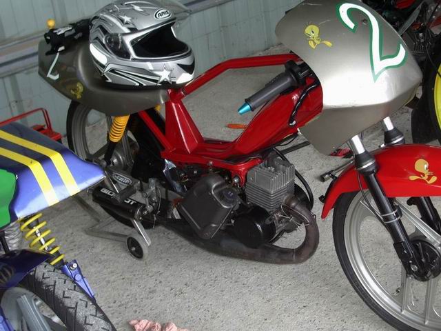 IMGP3591.JPG