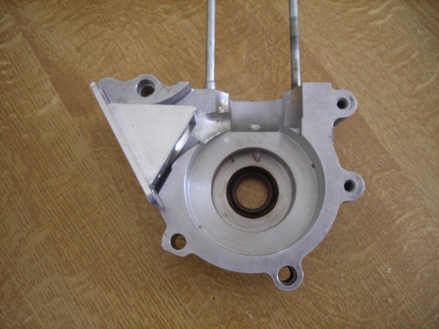 Carters Omega Gr 2
