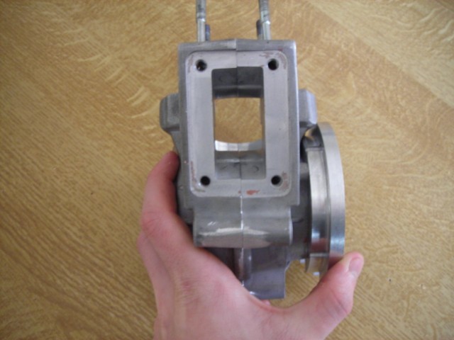 Carters Omega Gr 2
