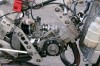 12100092_edited1.JPG