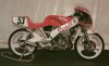 Conti_CRX_(1).jpg